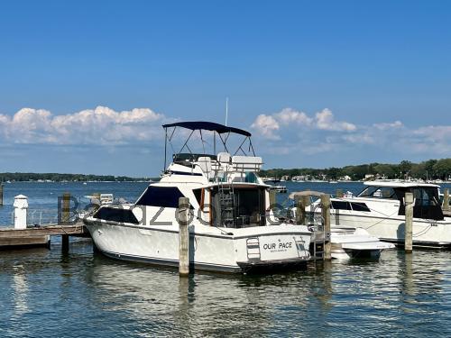 Pacemaker 32 tekniske specifikationer og anmeldelser